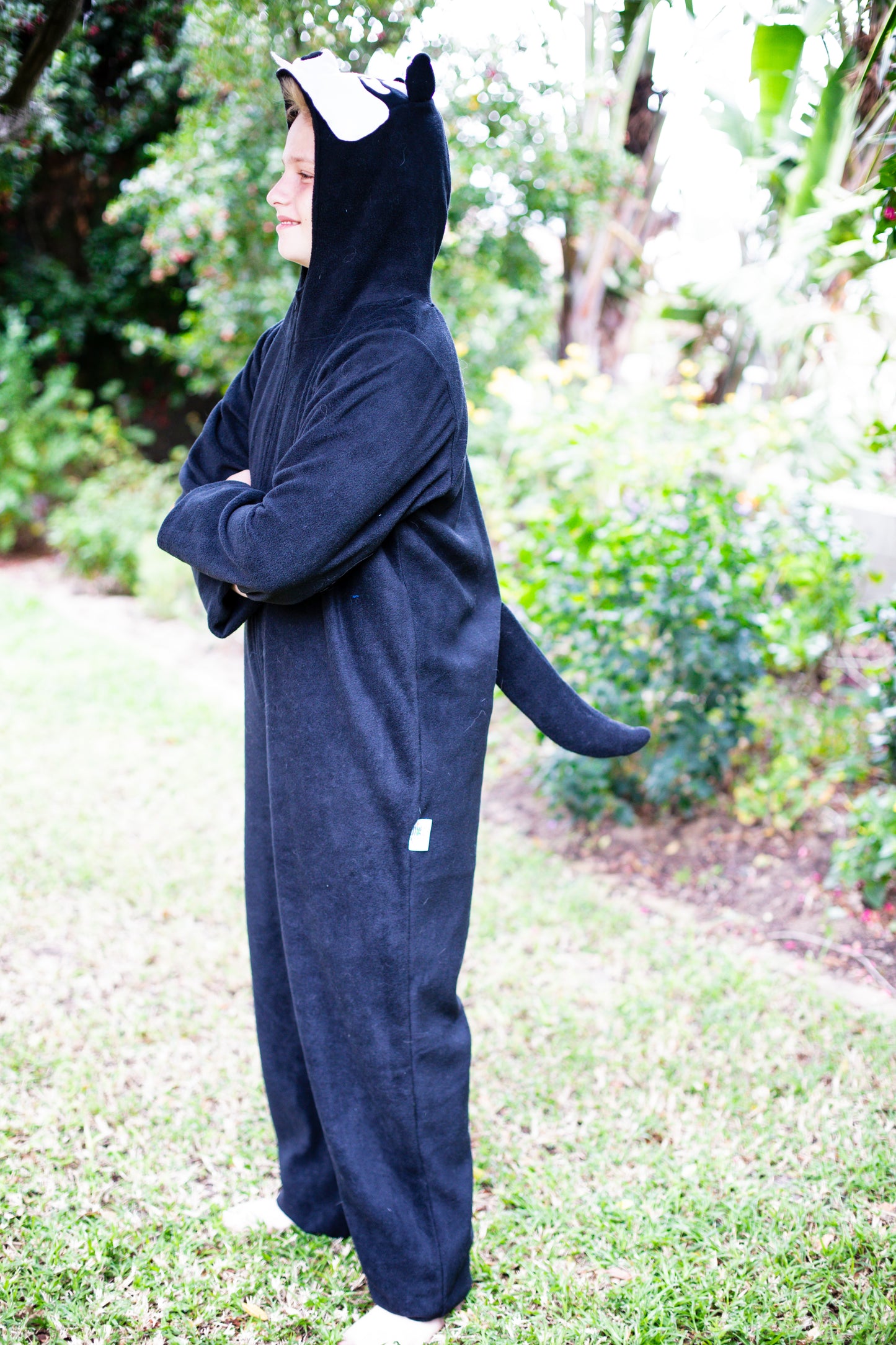Husky Dog - 15% Off