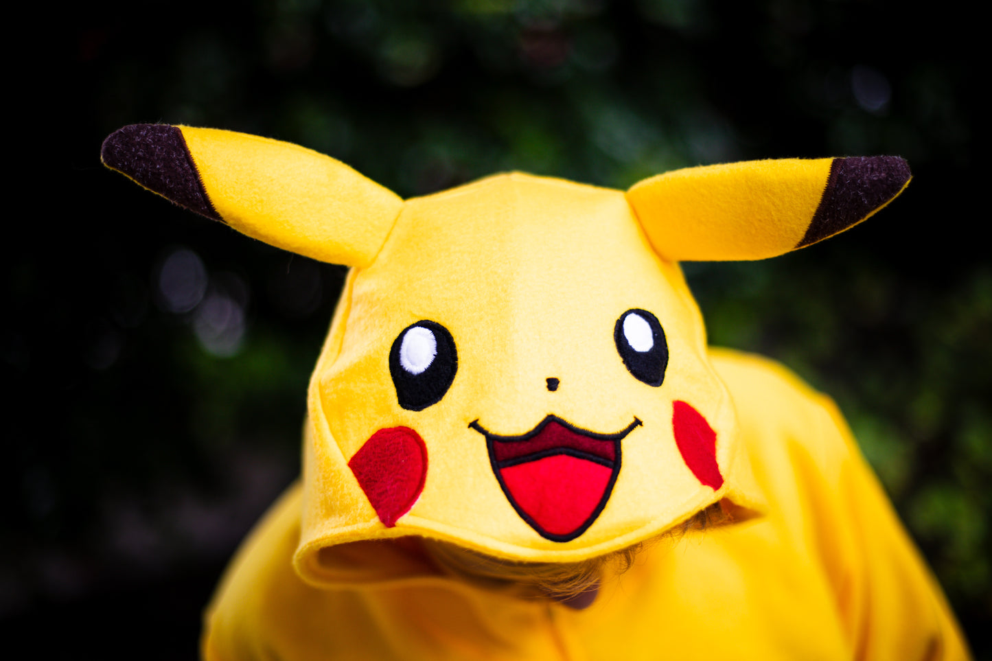 Pikachu Inspiration - 15% Off