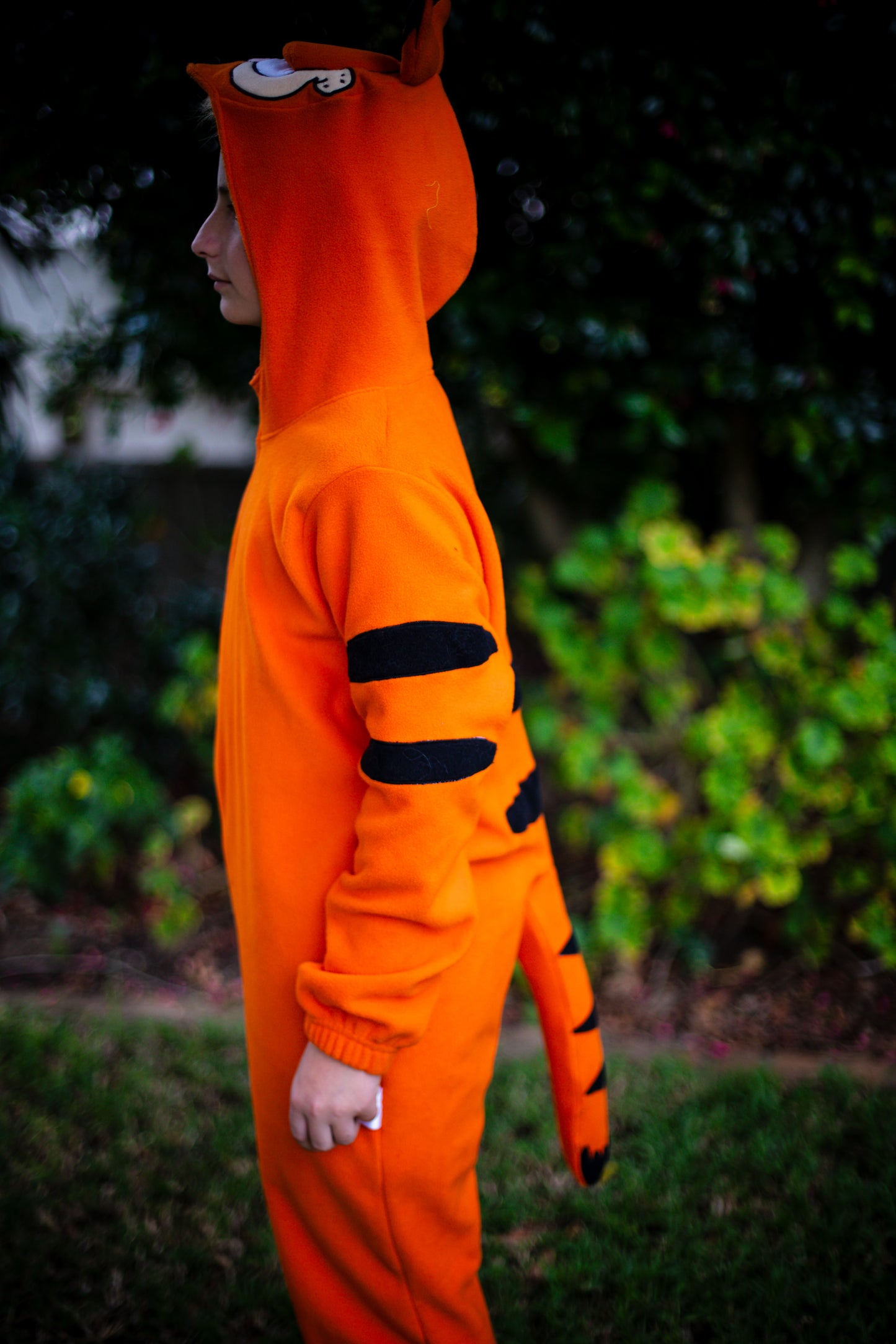 Ginger cat - Child