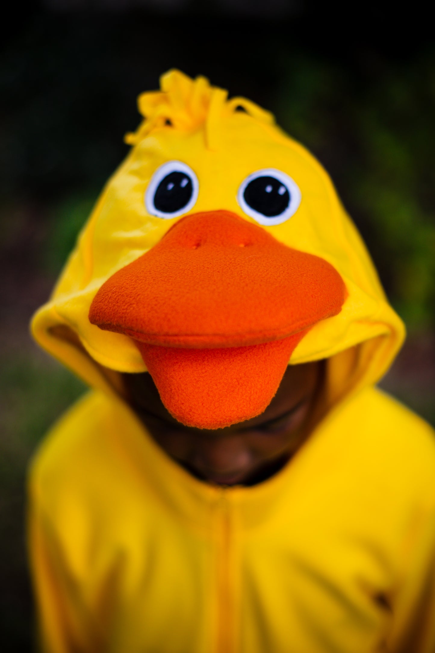 Duck - Adult