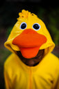 Duck - Adult