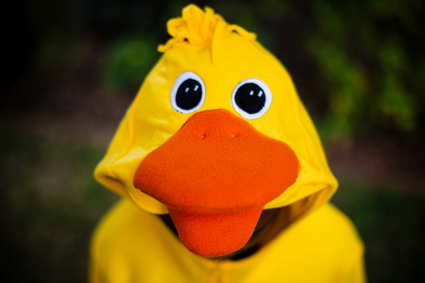 Duck - Adult