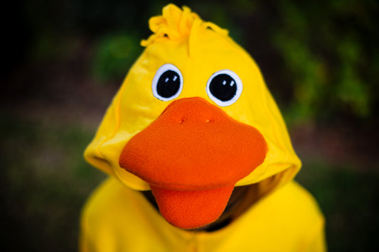 Duck - Adult