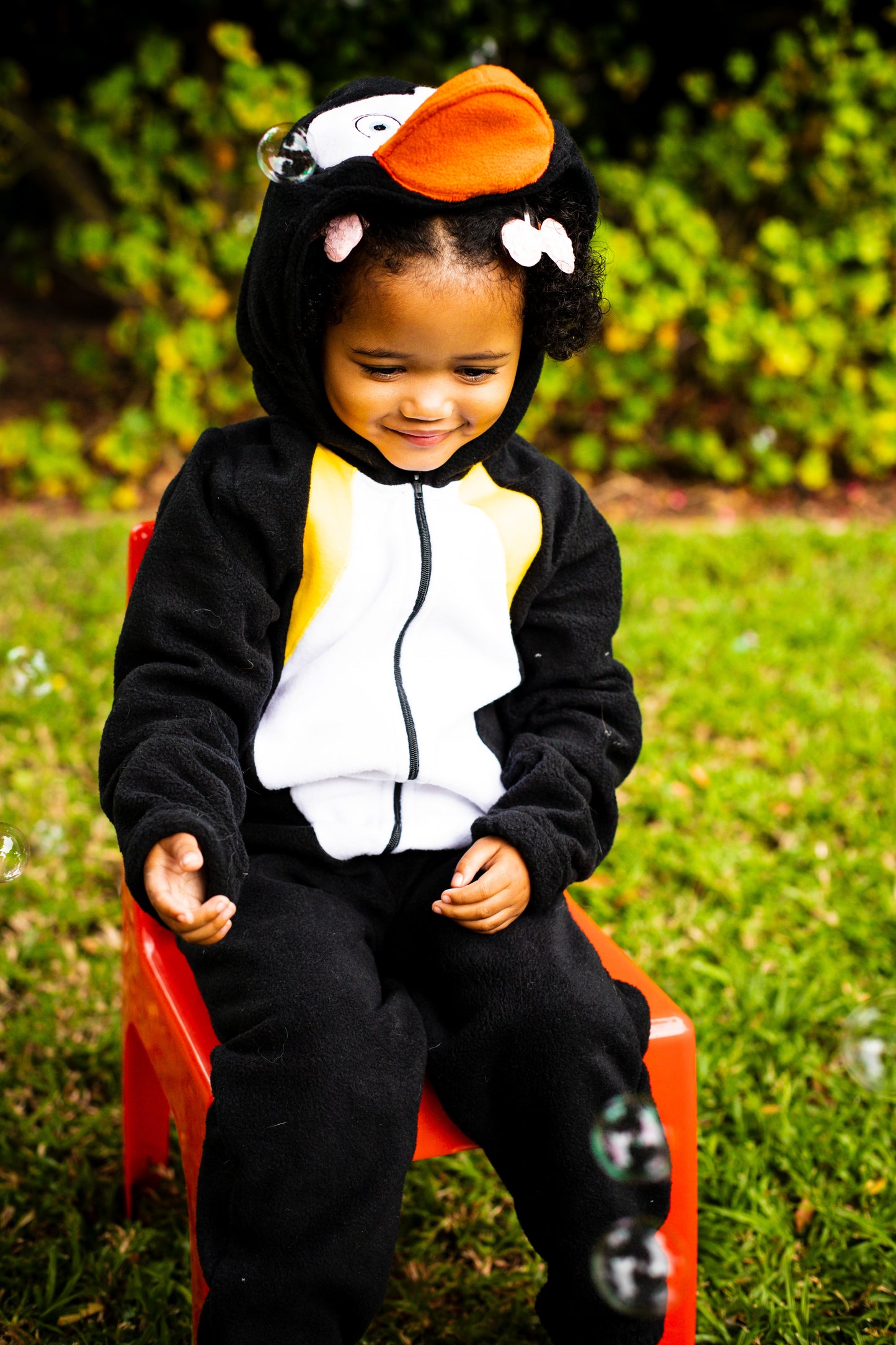 Penguin - Adult
