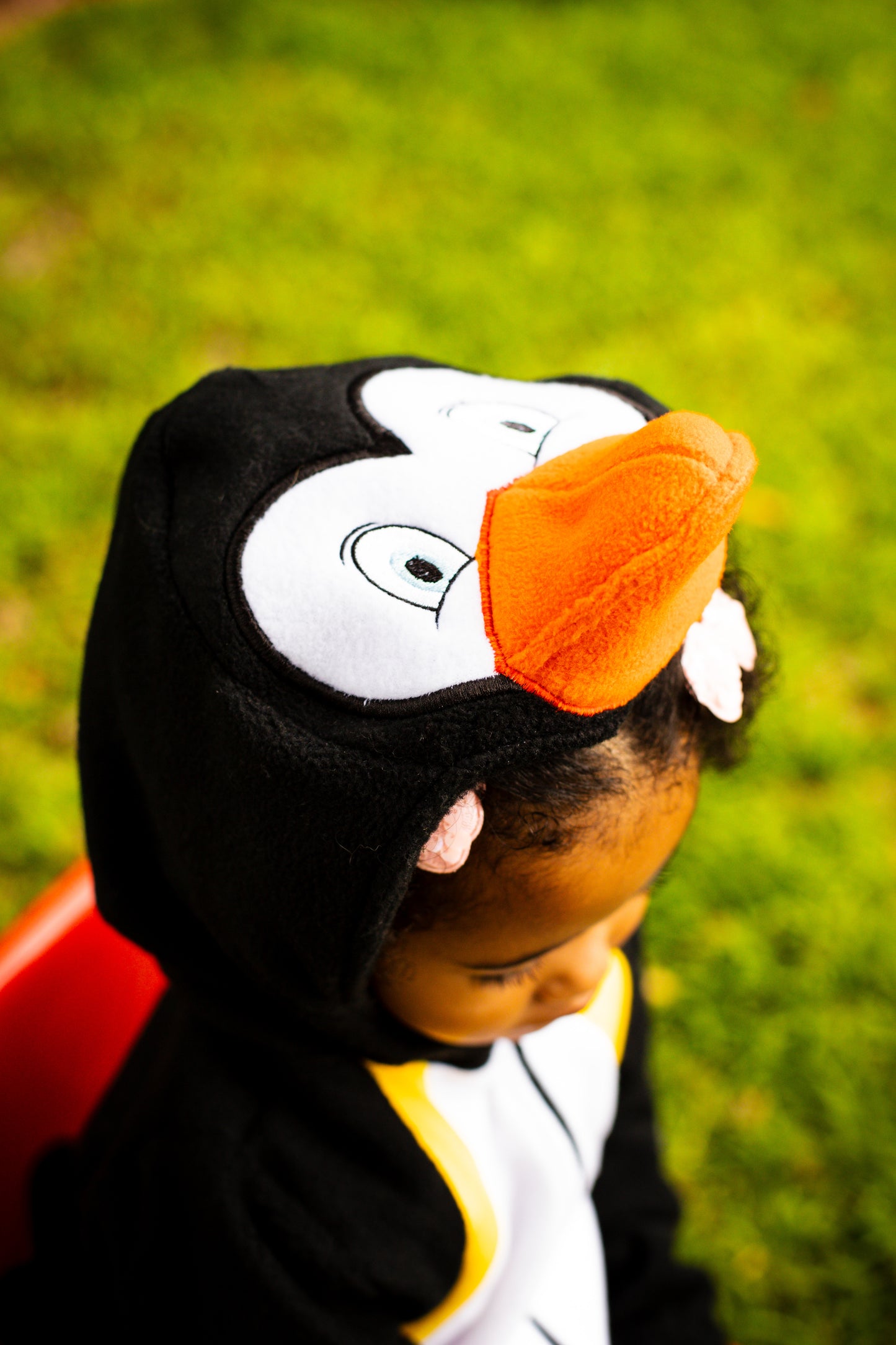Penguin - Adult