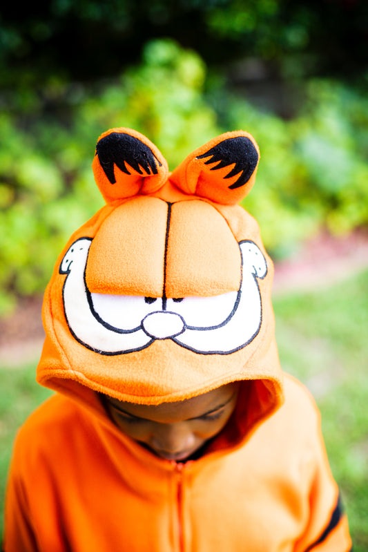 Ginger Cat - 15% Off Launch Offer