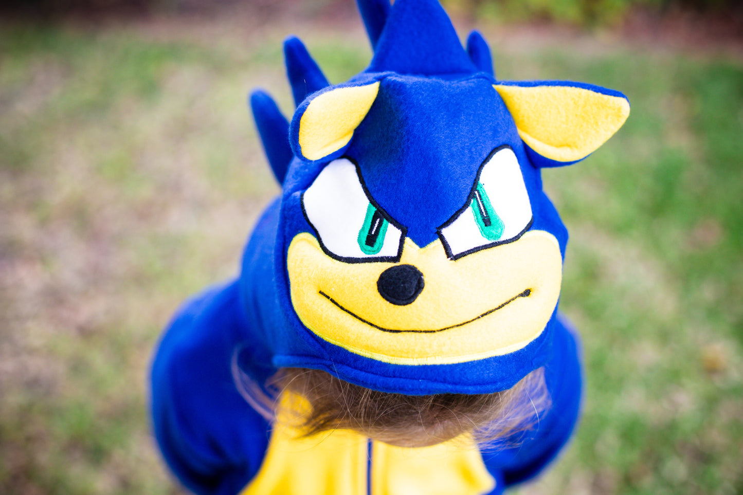 Sonic the Hedgehog Inspiration - 15% Off