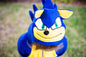 Sonic the Hedgehog Inspiration - Adult