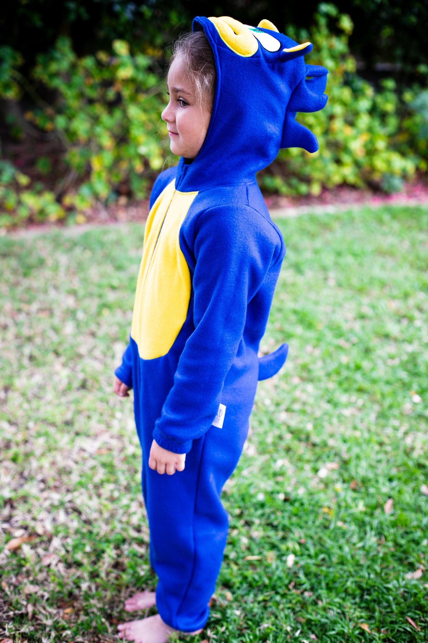 Sonic the Hedgehog Inspiration - 15% Off