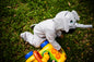 Elephant - Adult