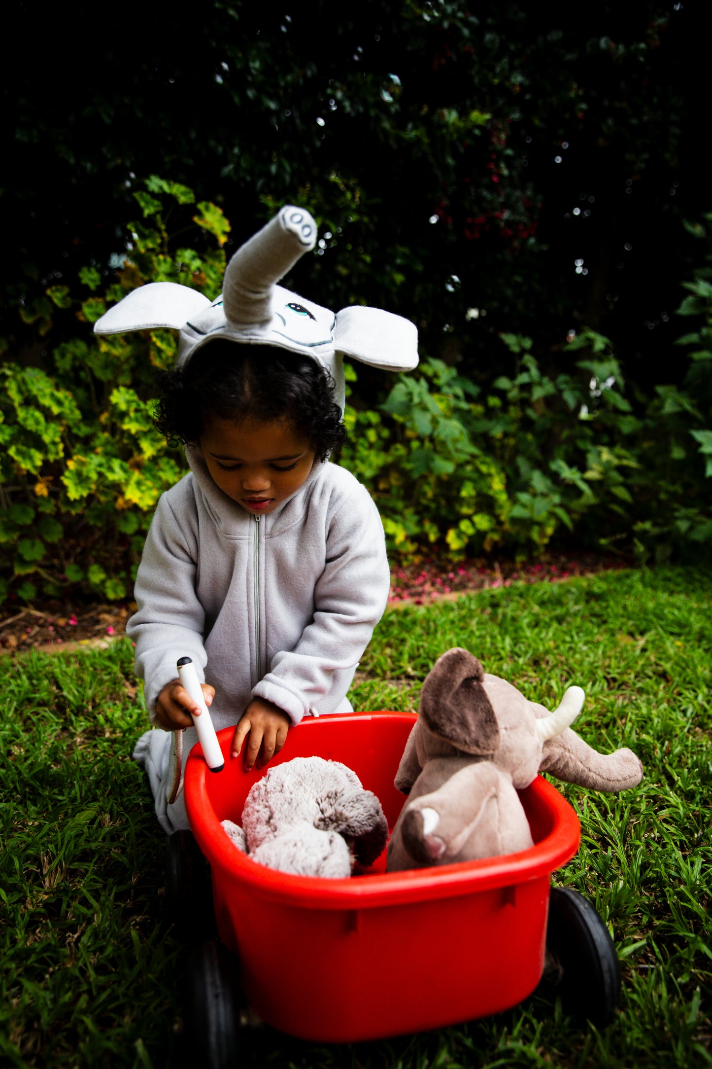Elephant - Child