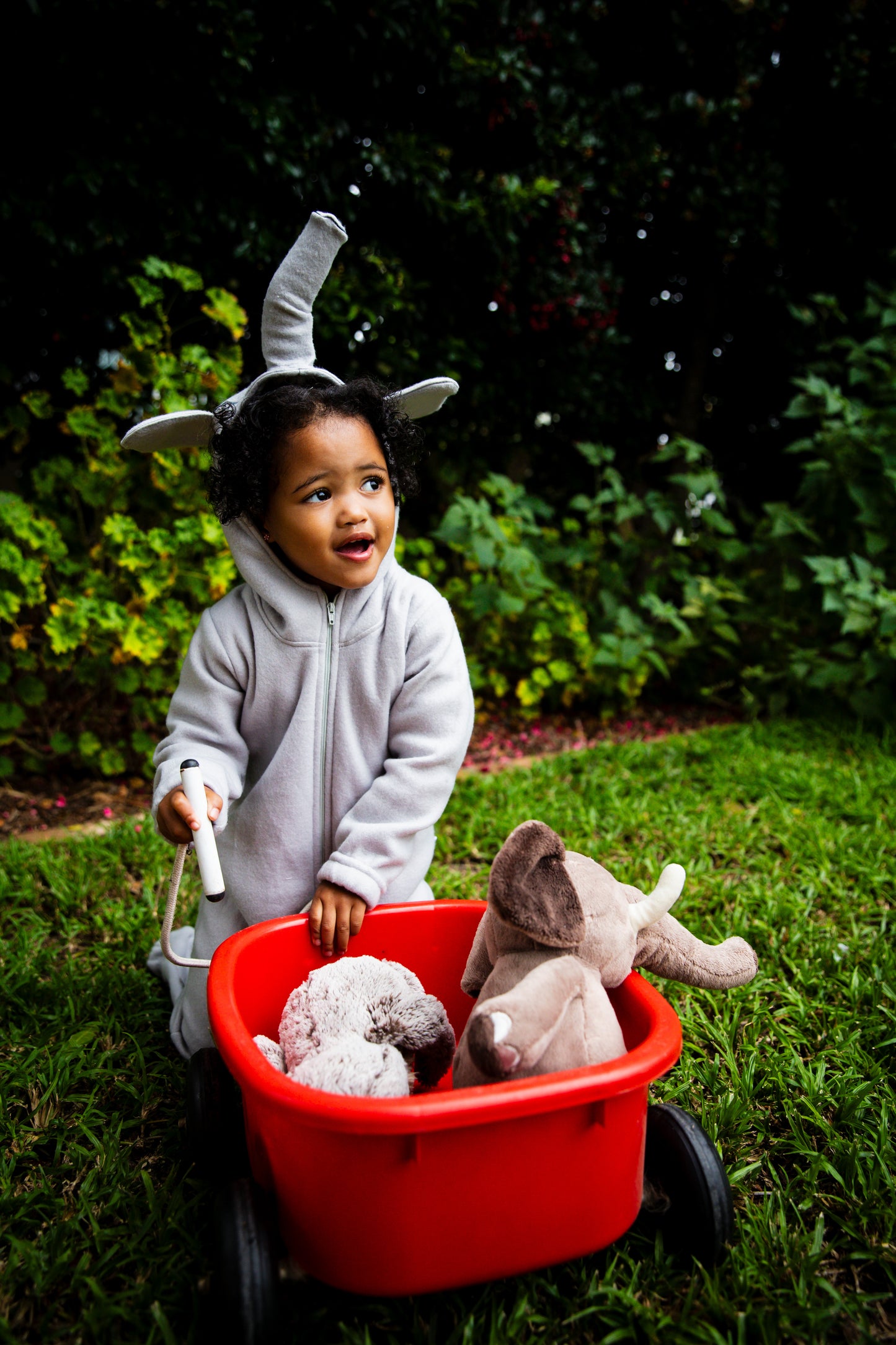 Elephant - Child