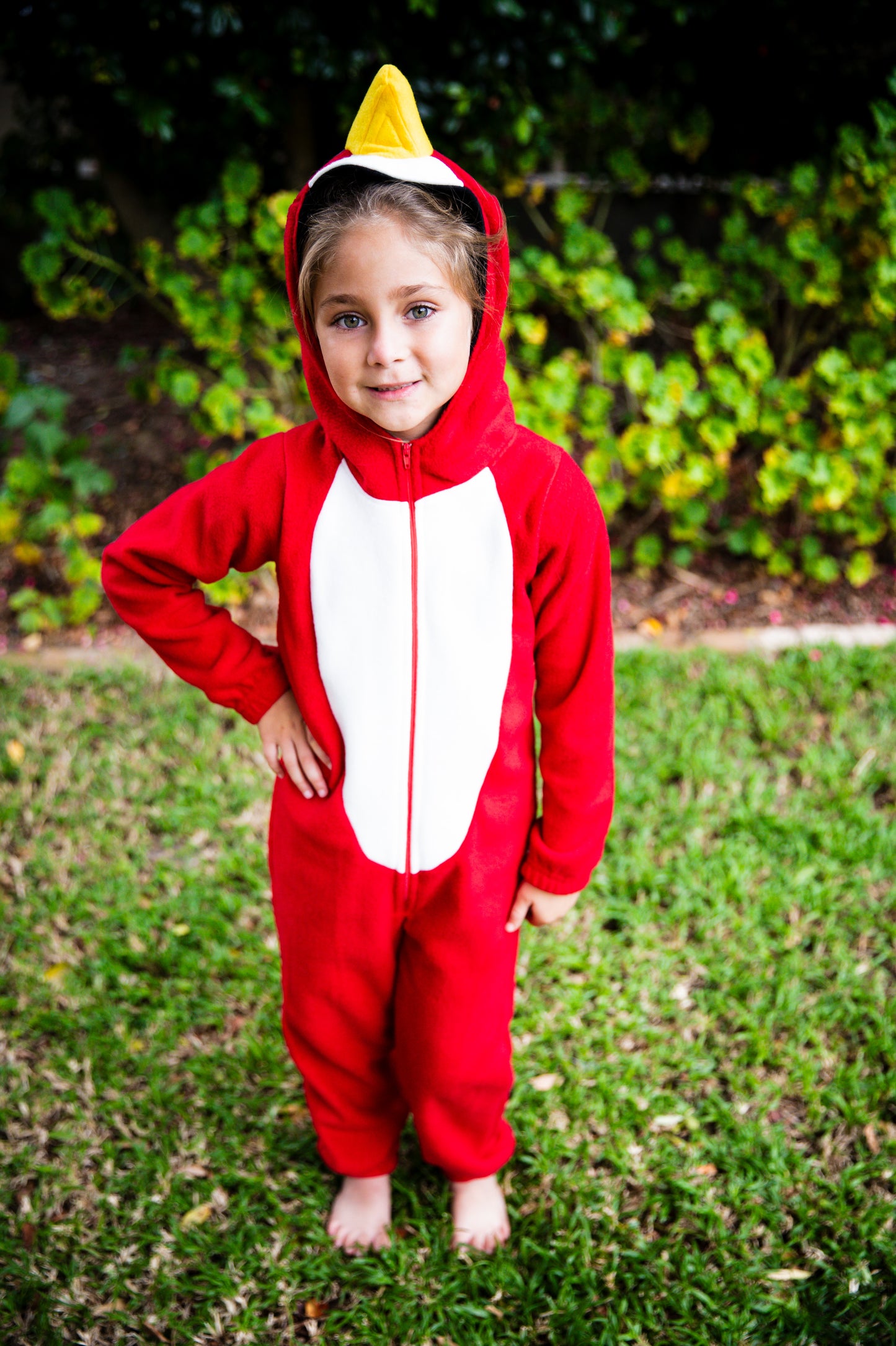 Angry Bird Inspiration  - Adult