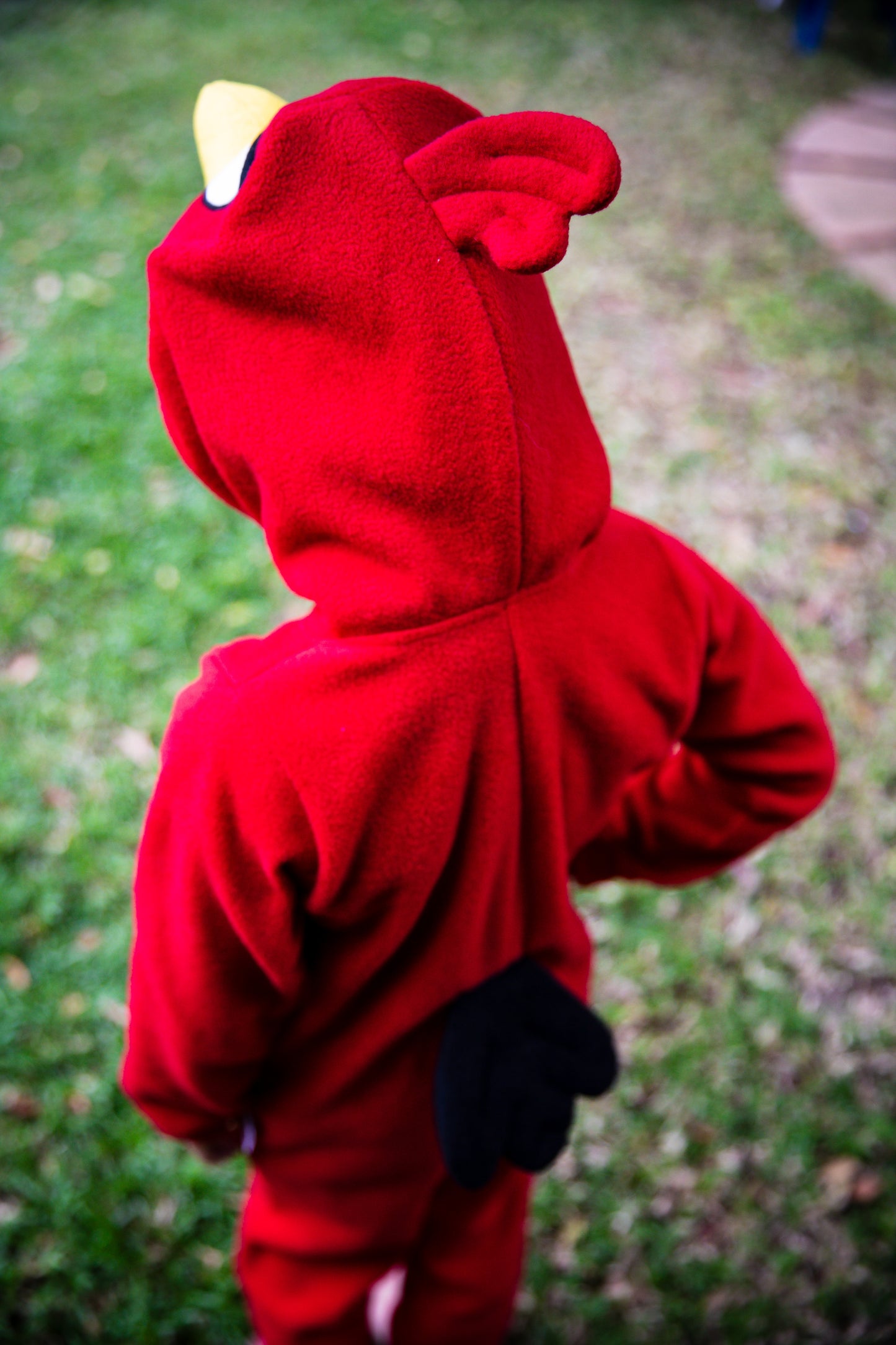 Angry Bird Inspiration  - 15% Off