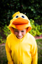 Duck - Adult