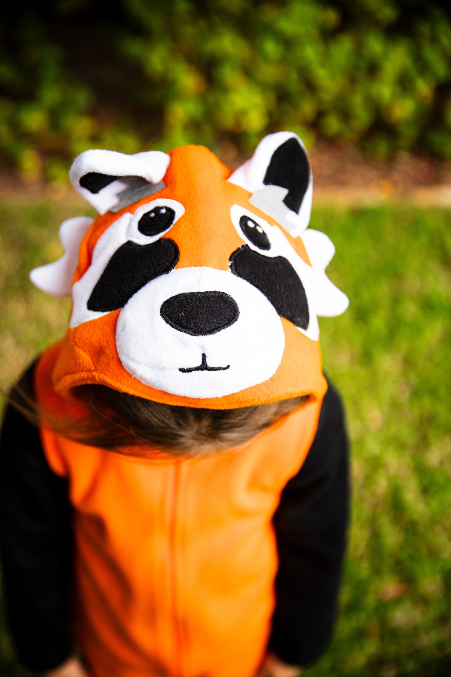 Red Panda - Adult