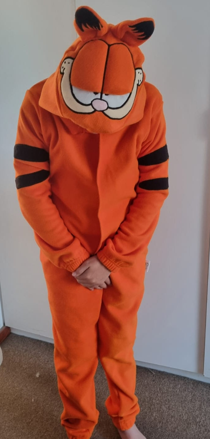 Ginger Cat - Adult