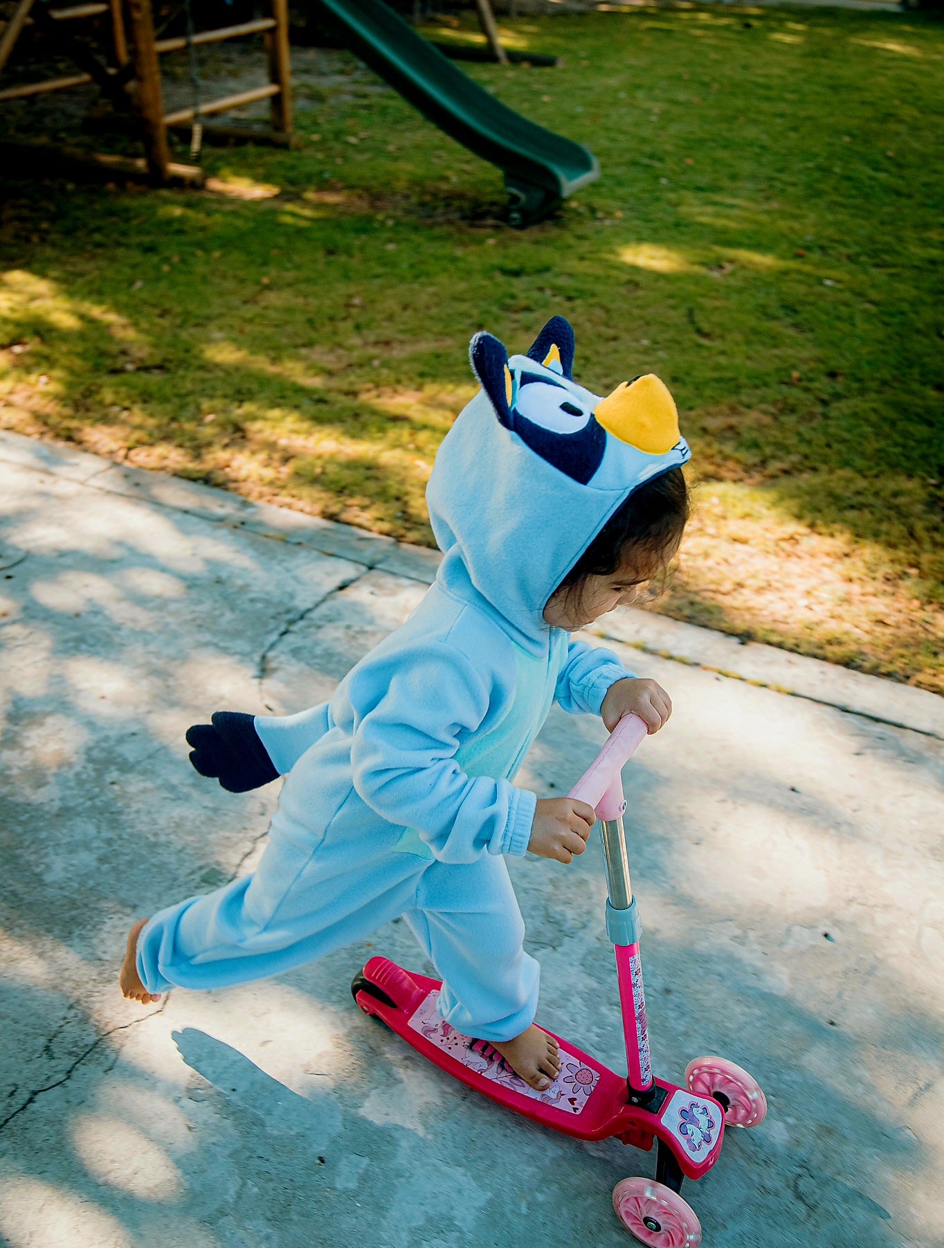 Bluey Inspiration - Adult